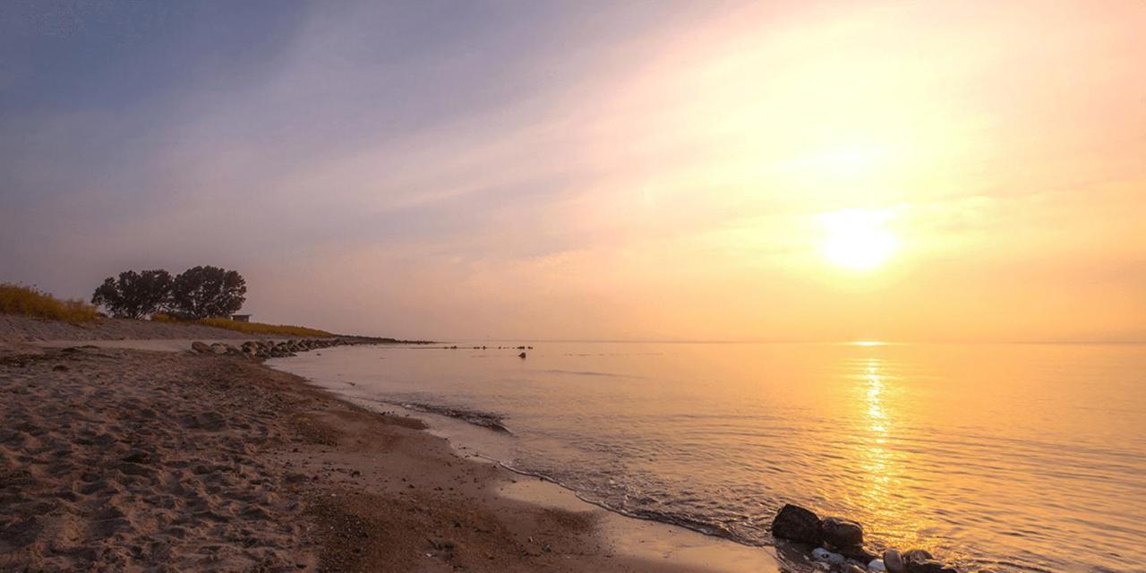 Ostseehotel Midgard Im Dampland المظهر الخارجي الصورة